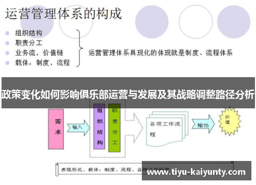 政策变化如何影响俱乐部运营与发展及其战略调整路径分析