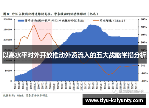 以高水平对外开放推动外资流入的五大战略举措分析