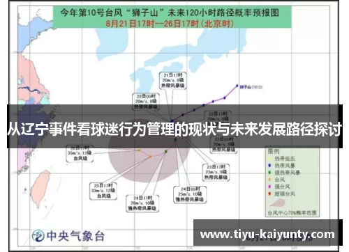 从辽宁事件看球迷行为管理的现状与未来发展路径探讨
