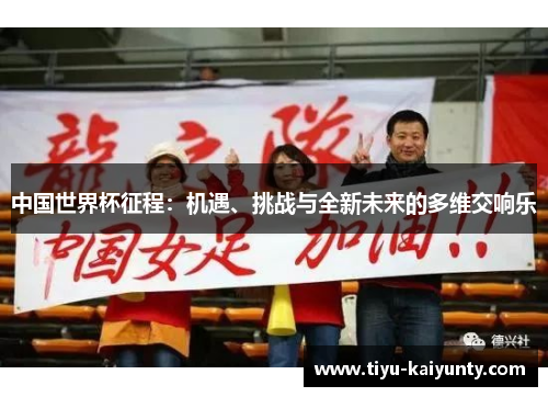 中国世界杯征程：机遇、挑战与全新未来的多维交响乐