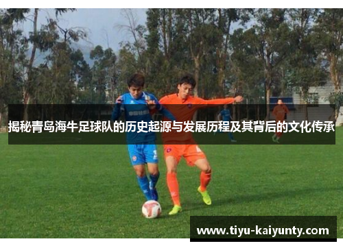 揭秘青岛海牛足球队的历史起源与发展历程及其背后的文化传承
